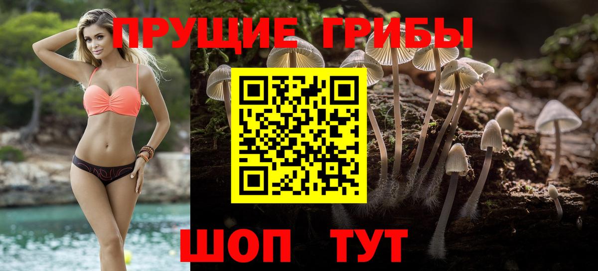 Псилоцибиновые грибы GOLDEN TEACHER  Галлюциногенные грибы Psilocybine cubensis  Вход с VPN  Майкоп 