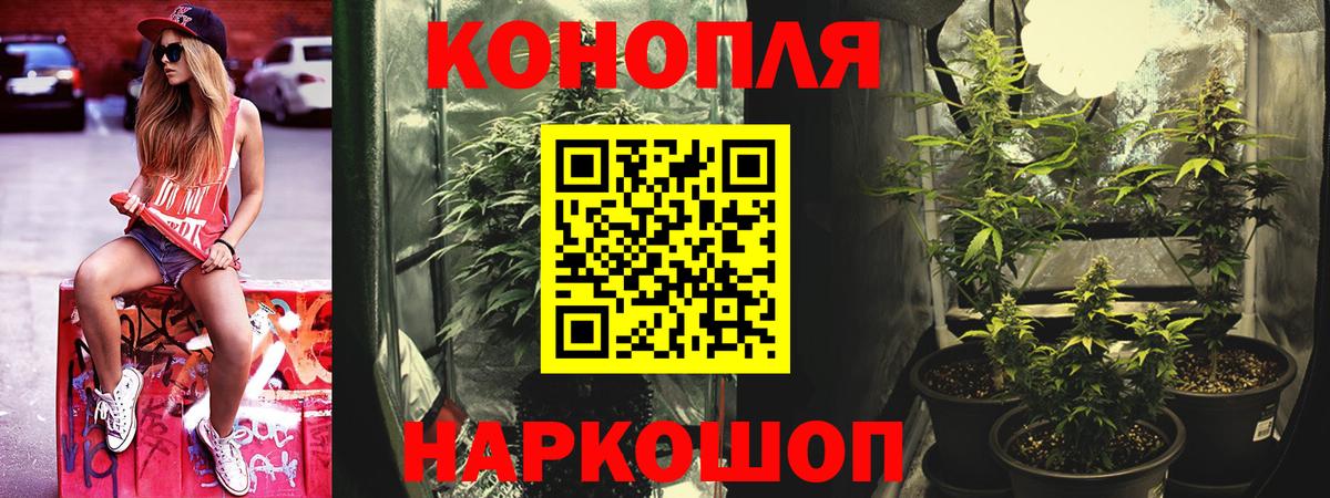 Майкоп  Конопля гибрид  МАРИХУАНА ГИДРОПОН  Вход с VPN 
